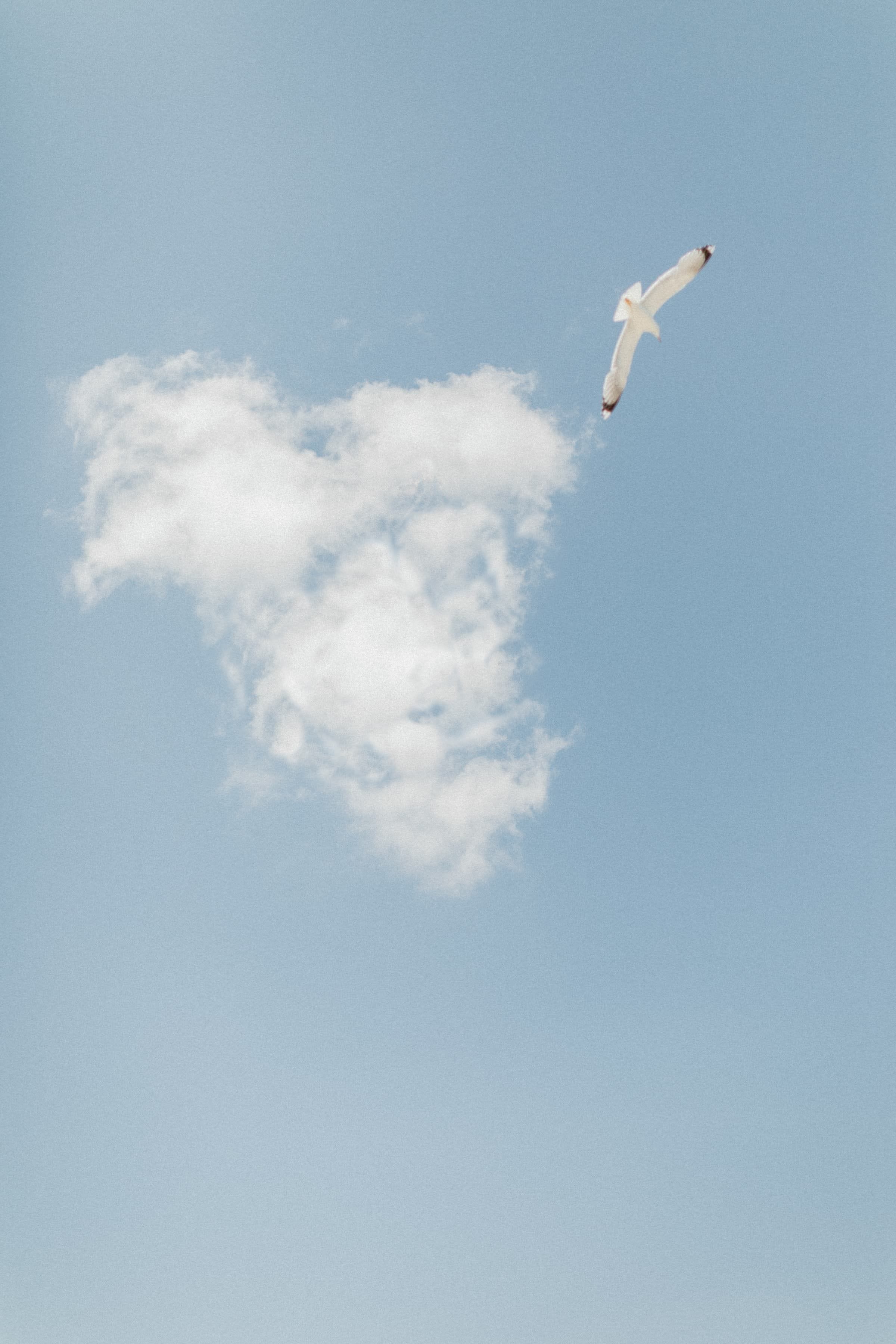 Lilly & Per Kristian / Mariage 16