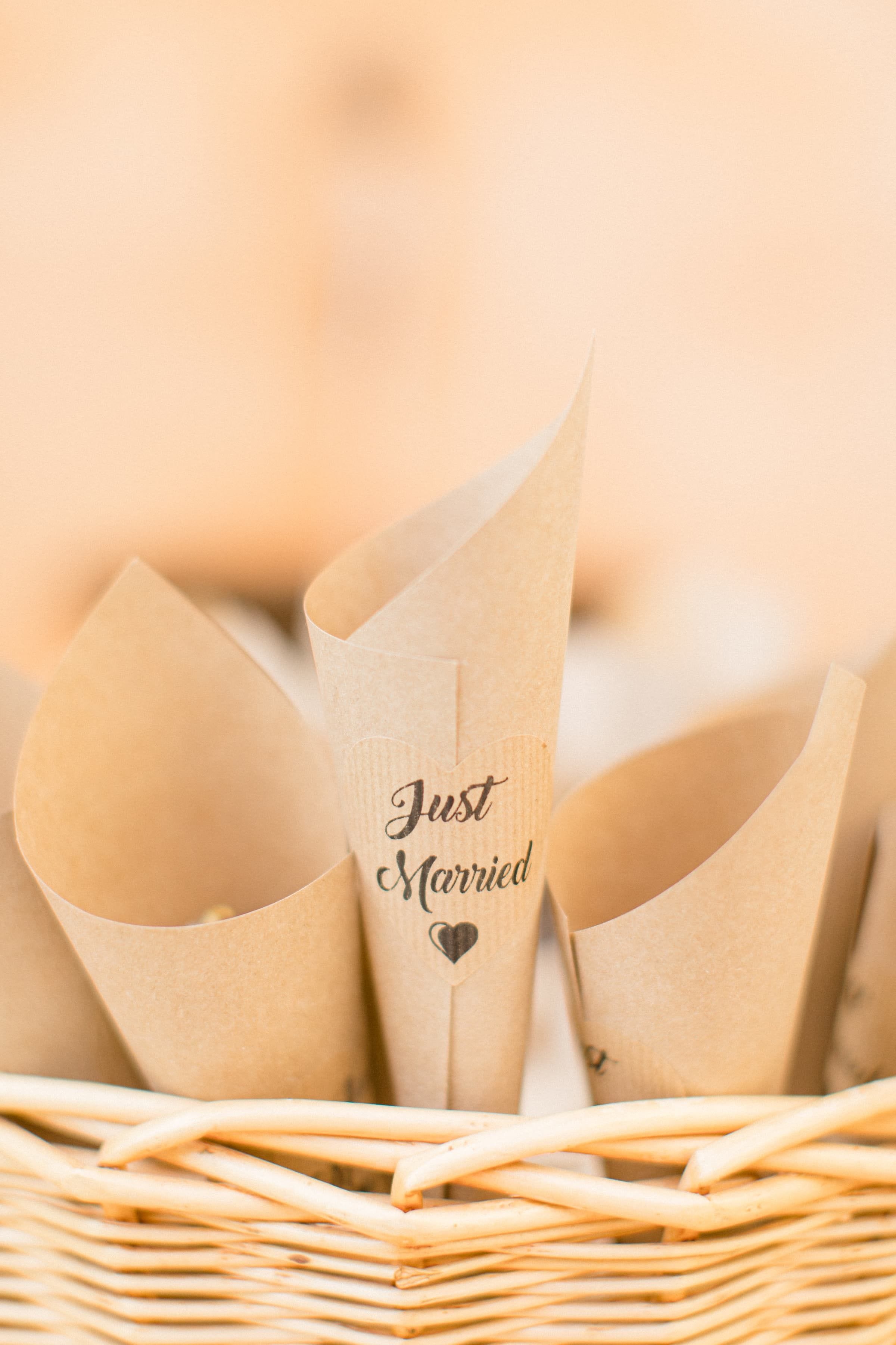 Manon & Bastien / Mariage 9