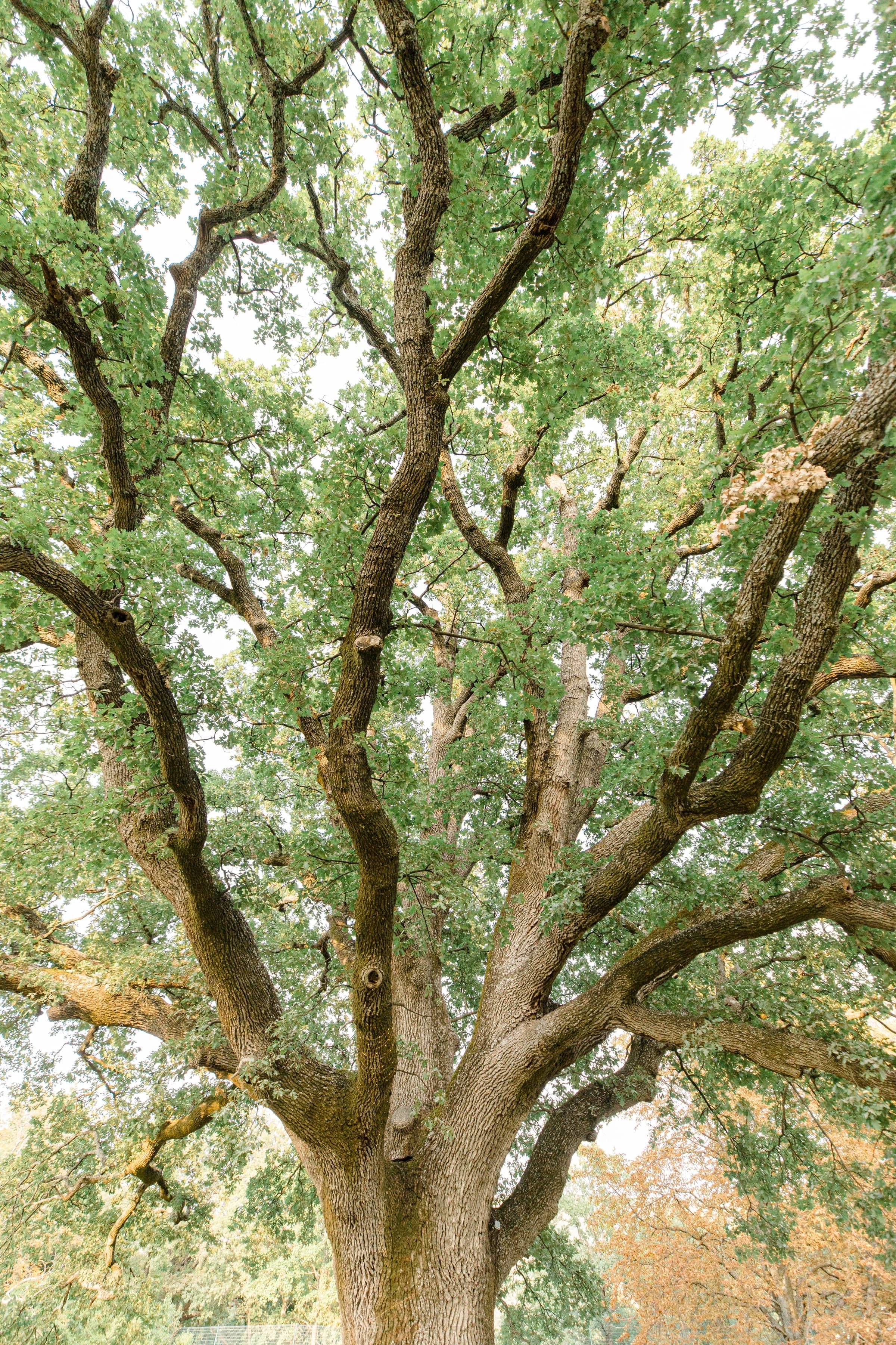 Manon & Bastien / Mariage 27