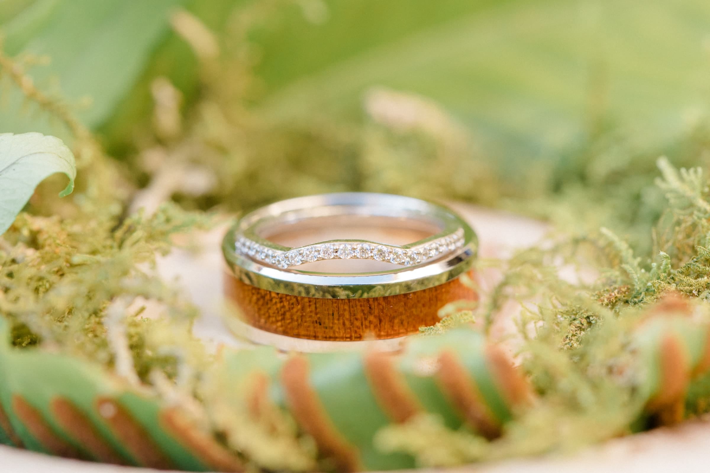 Manon & Bastien / Mariage 3