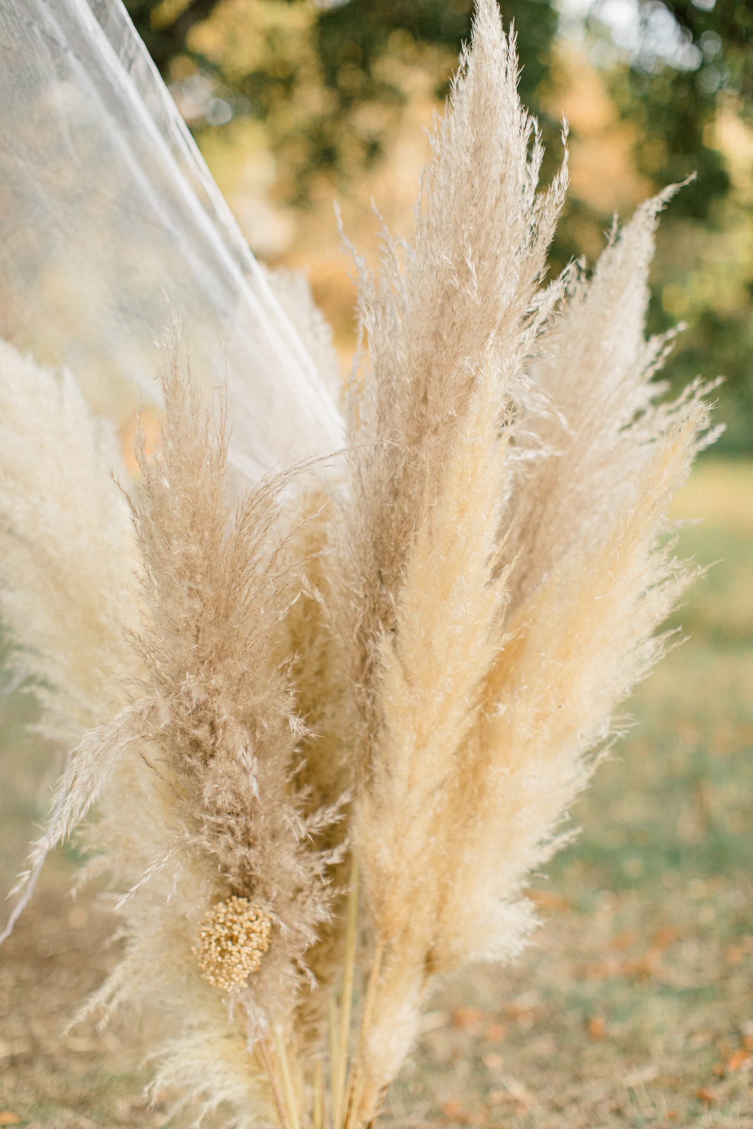 Manon & Bastien / Mariage 30