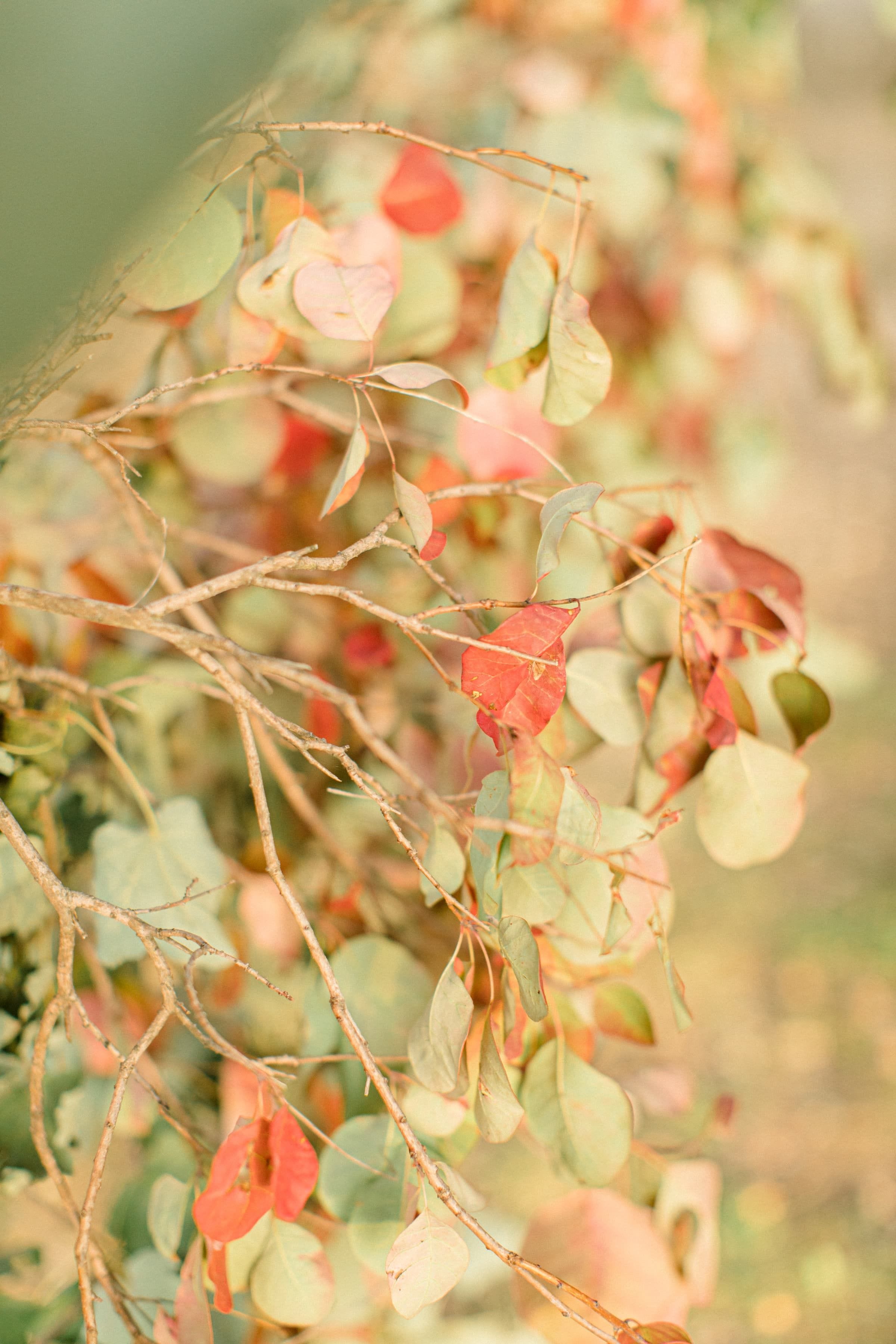 Manon & Bastien / Mariage 45