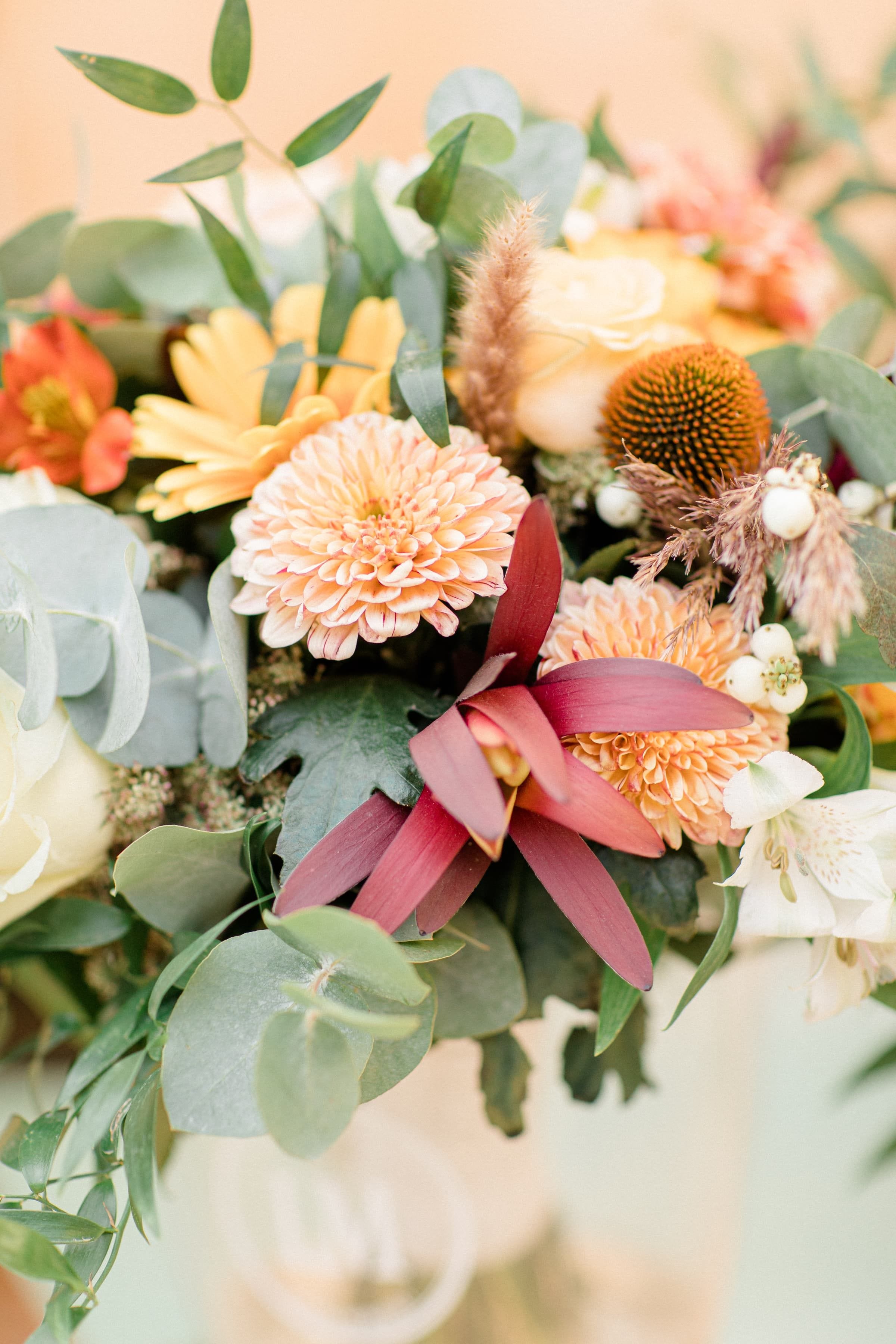 Manon & Bastien / Mariage 7