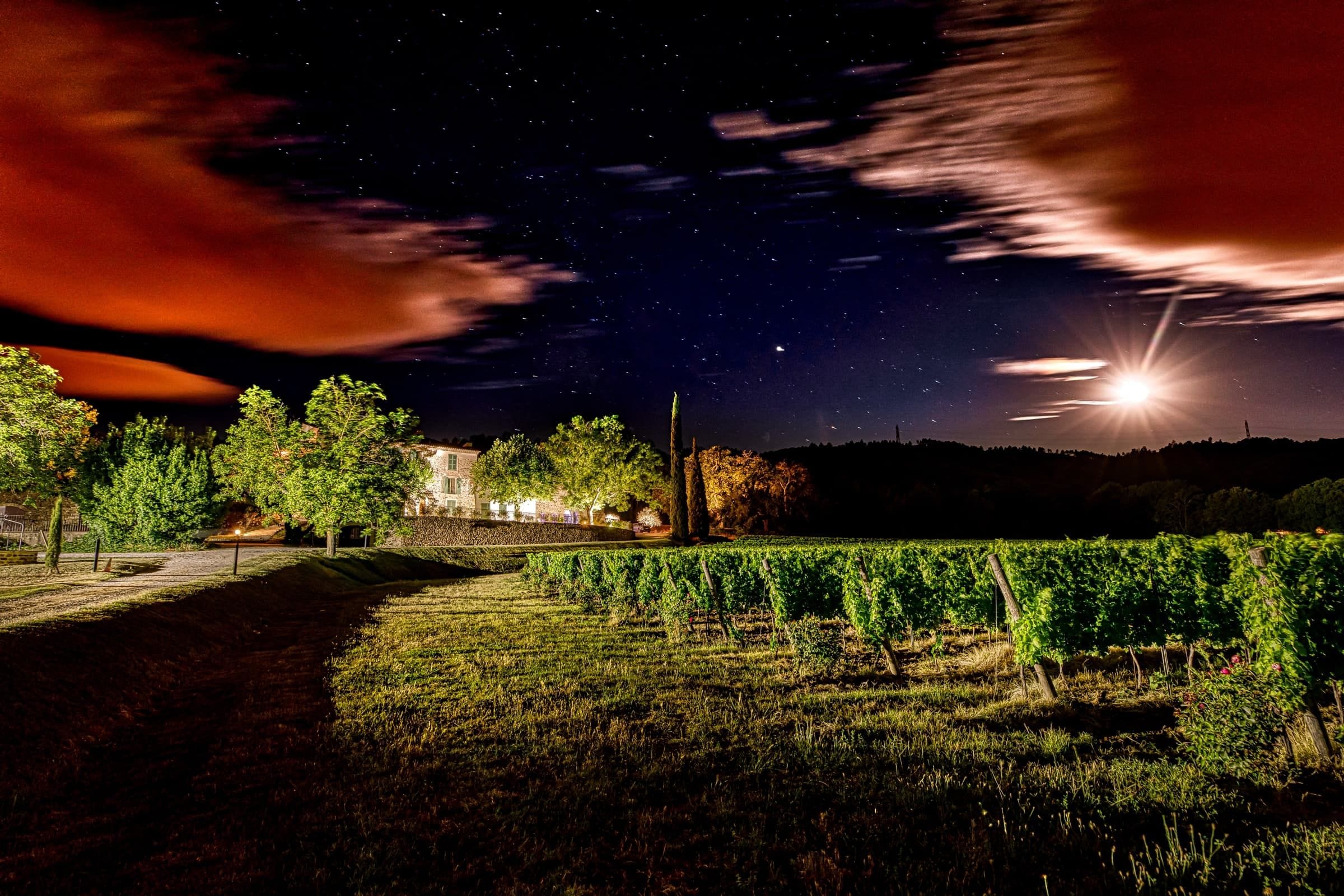 Mariage de Marina & Simon au Château Maïme dans le Var 5