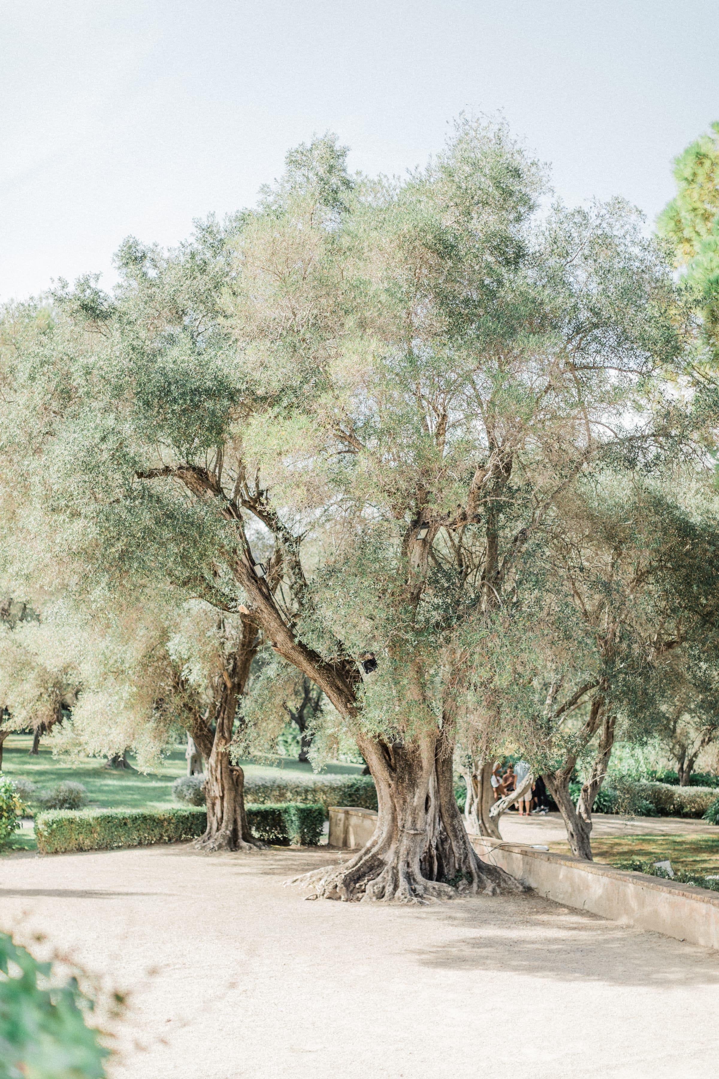 Mélissa & Novo / Mariage 16