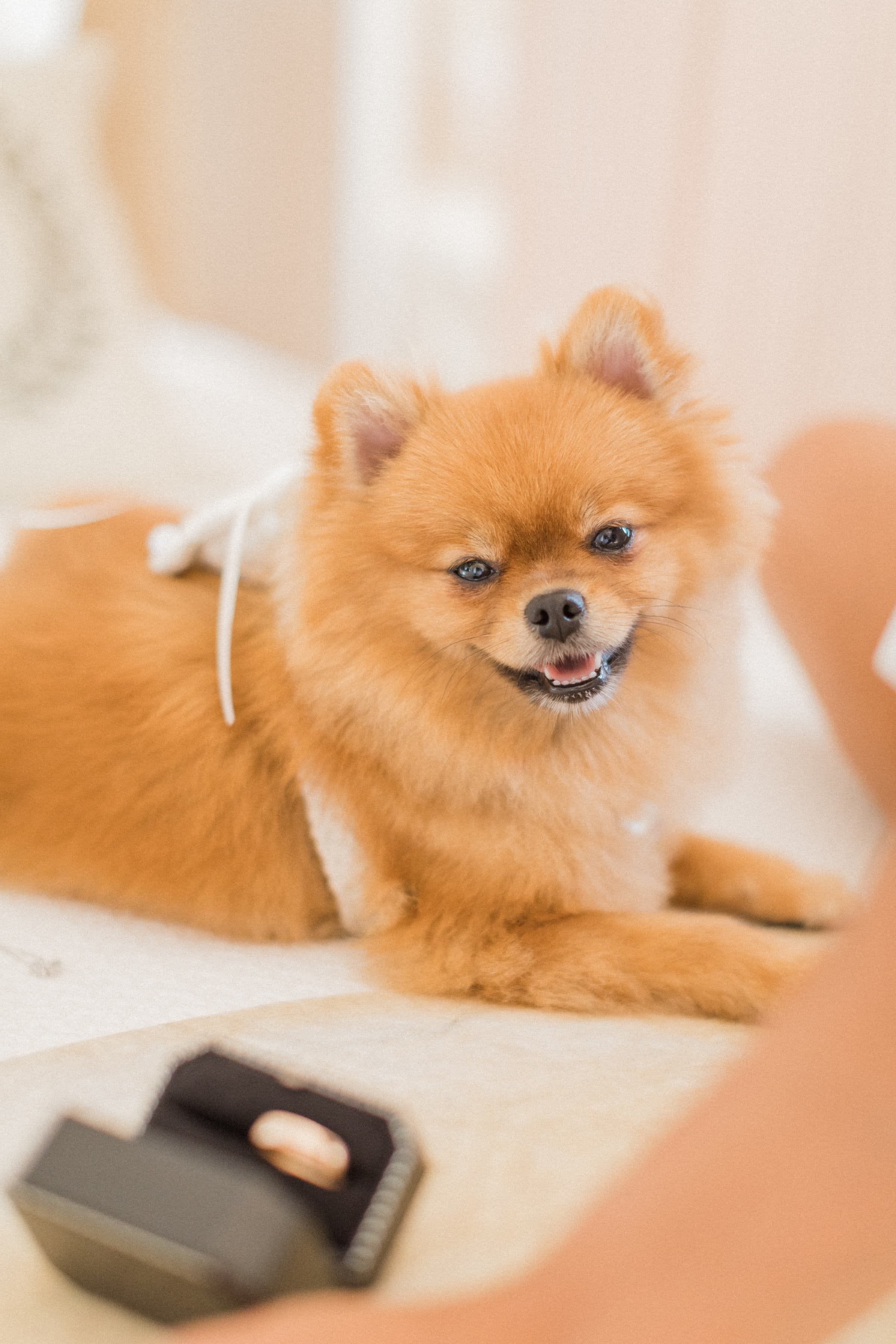 Mélissa & Novo / Mariage 20