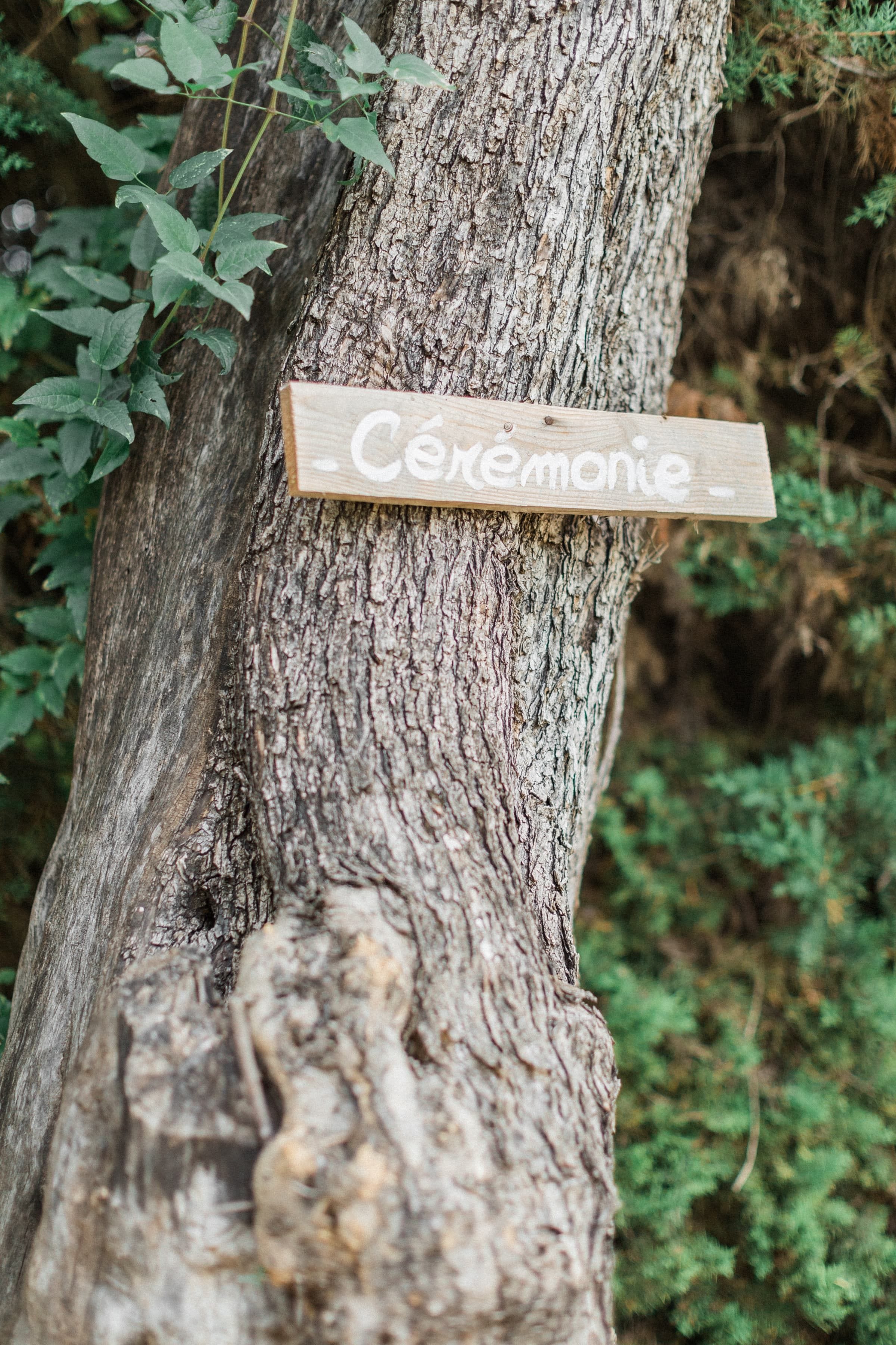 Mélissa & Novo / Mariage 31