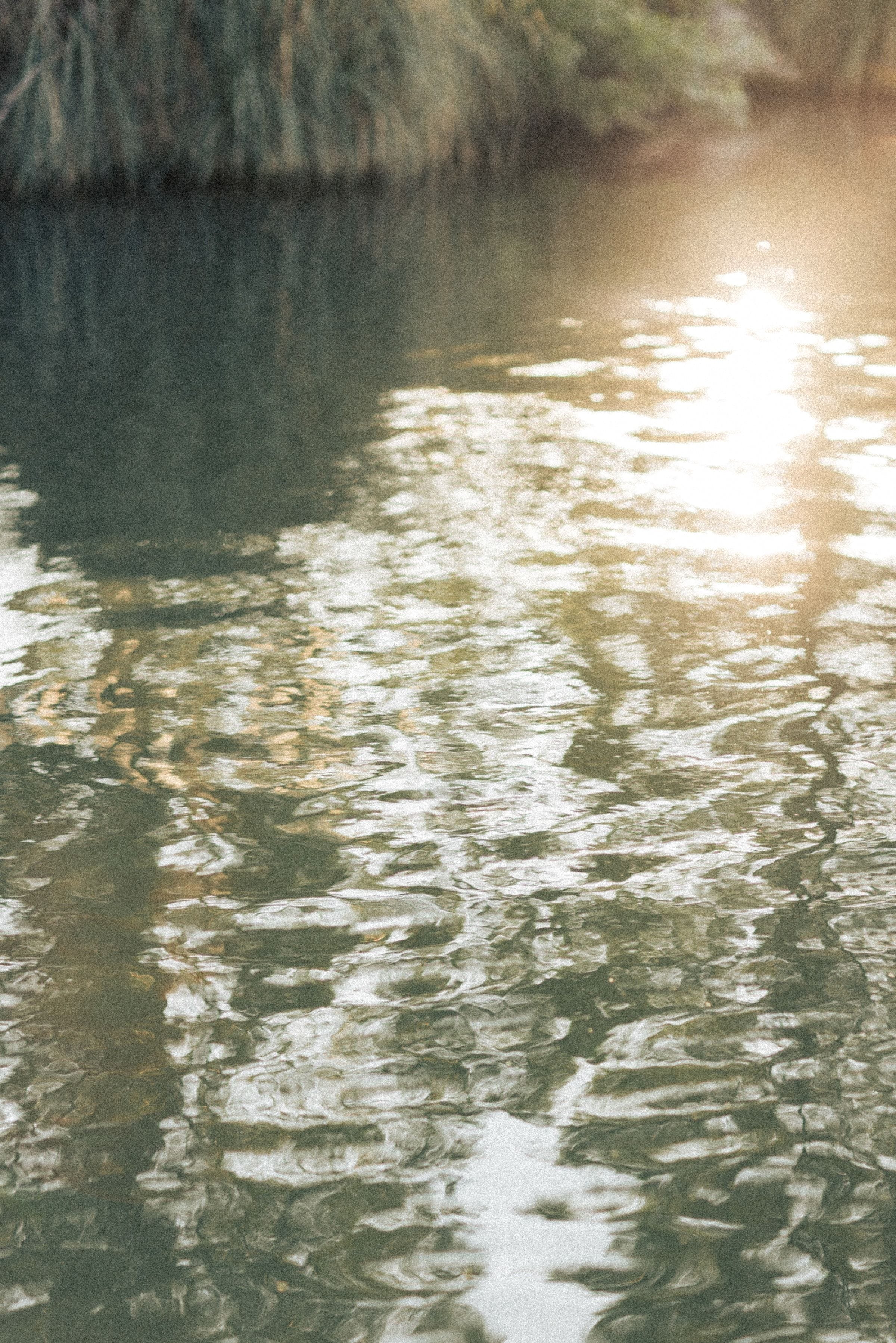 Entre terre et mer | Shooting au coeur de la nature 17