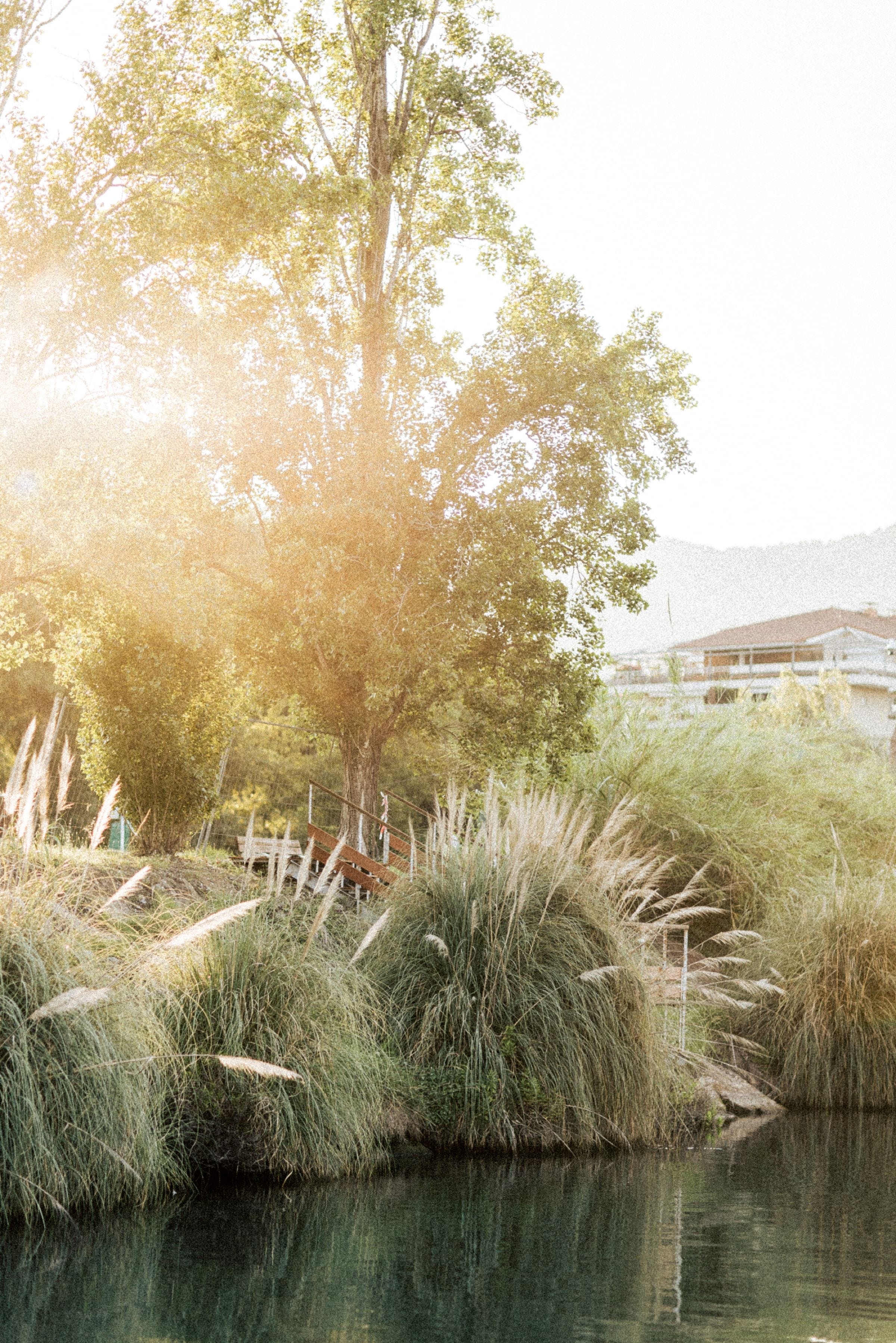 Entre terre et mer | Shooting au coeur de la nature 18