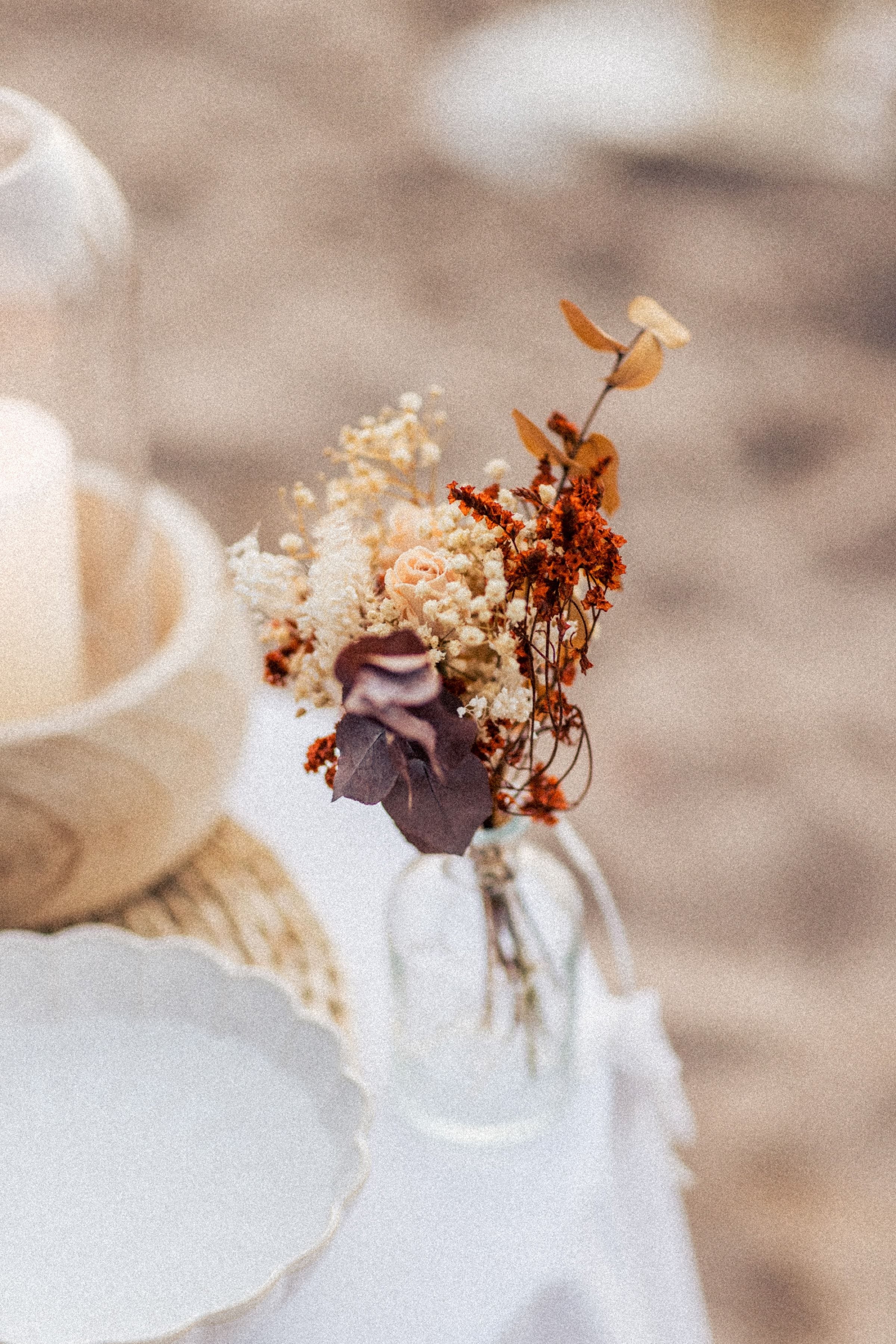 Entre terre et mer | Shooting au coeur de la nature 22