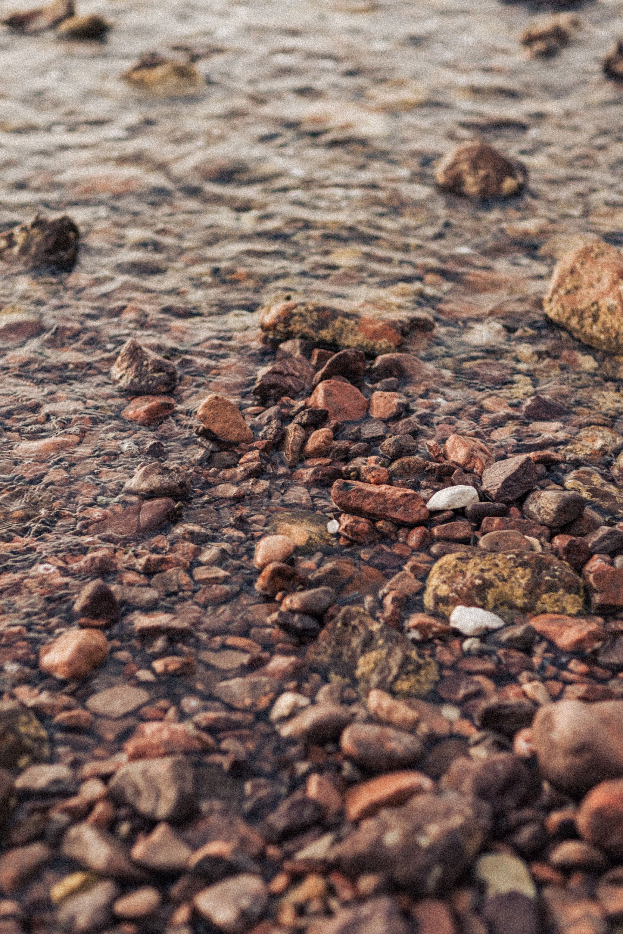 Entre terre et mer | Shooting au coeur de la nature 31