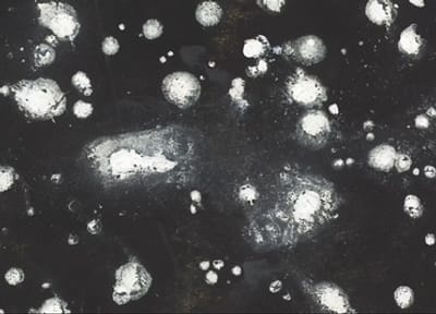 AGENDA Eugene Brands Dynamisch Heelal