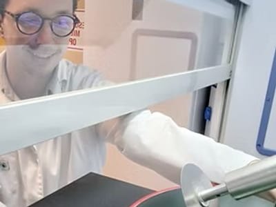 WERK Agrofood Innoveins Seed Solutions WEB