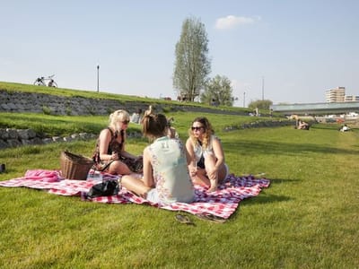 ACTIVITEIT Picknick