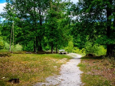 Wandelroute Galgevenroute NATUUR Jaomerdal WEB Petra Lenssen 18