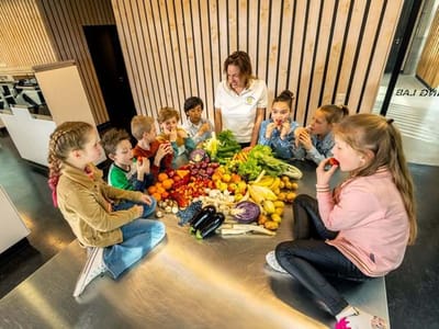 WERK Agrofood kokkerelli WEB