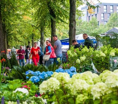 Lorem ipsum dolar sit amet