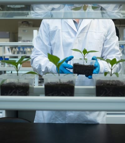 WERK Innovatie Agro Food Tech Brightlands WEB Joy Cremers 0075