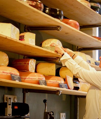 PORTRET Brigitte 7 WEB Niels Winter