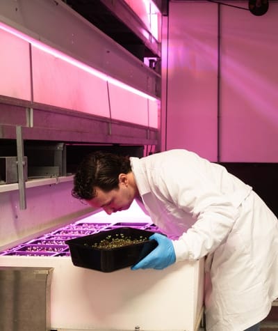 WERK Innovatie Agro Food Tech Brightlands WEB Joy Cremers 0251