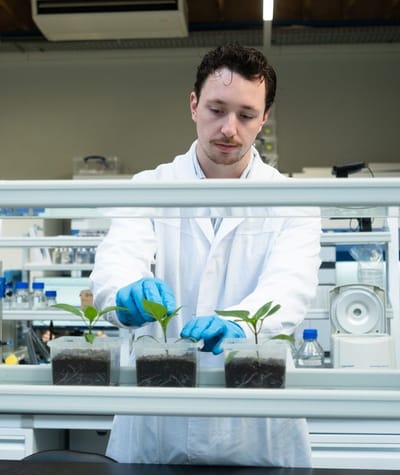 WERK Innovatie Agro Food Tech Brightlands WEB Joy Cremers 0132