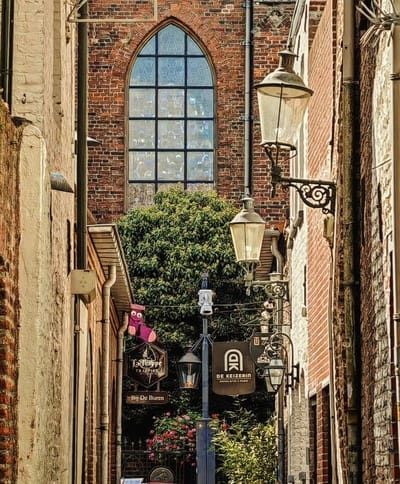 Saskia1 2025 10 06 070056 vjrp