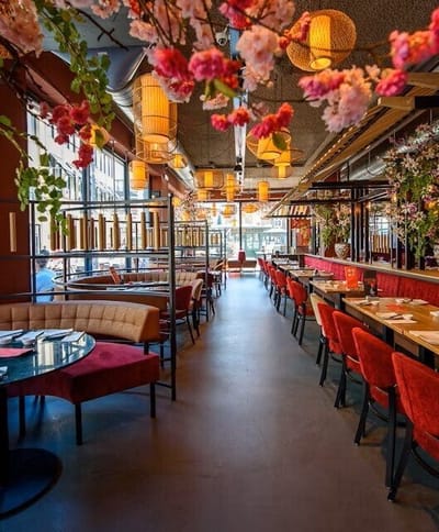 2020 06 VP Miso Oriantal 2