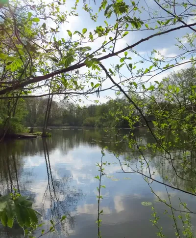 9 Tangkoel een juweel om van te genieten 10 10 2018 scaled