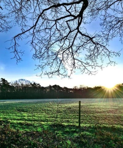 LEEF Groen geluk Natuur Jaomerdal WEB