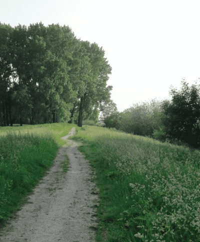 Schermafbeelding 2021 04 20 om 10 57 56