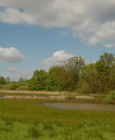 Vreewater henkheijligers HLI 7460 scaled