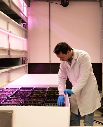 WERK Innovatie Agro Food Tech Brightlands WEB Joy Cremers 0348