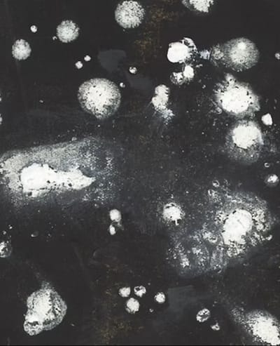 AGENDA Eugene Brands Dynamisch Heelal