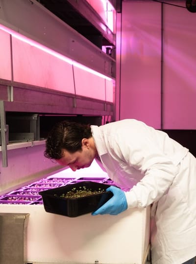 WERK Innovatie Agro Food Tech Brightlands WEB Joy Cremers 0251