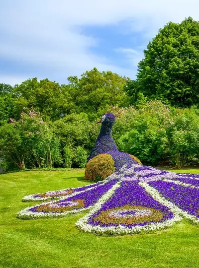 Kasteeltuinen Arcen Voorjaar Pauw 2019 Petra Lenssen 194