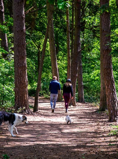 NATUUR Groote Heide WEB Petra Lenssen 20