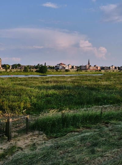 NATUUR Maascorridor WEB Thom Spierenburg 3