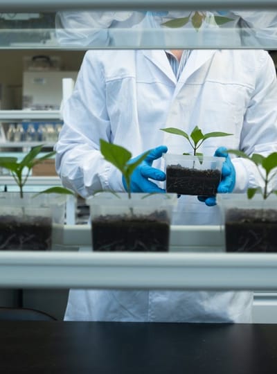 WERK Innovatie Agro Food Tech Brightlands WEB Joy Cremers 0075