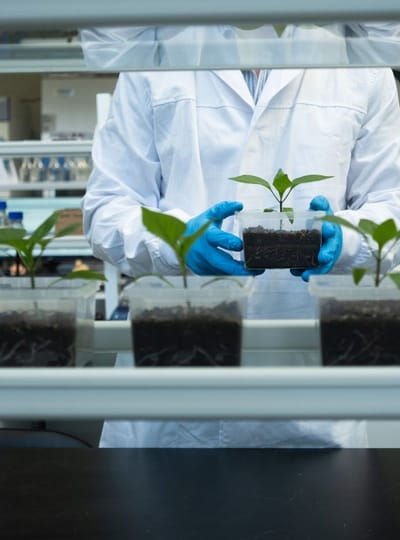 WERK Innovatie Agro Food Tech Brightlands WEB Joy Cremers 0077