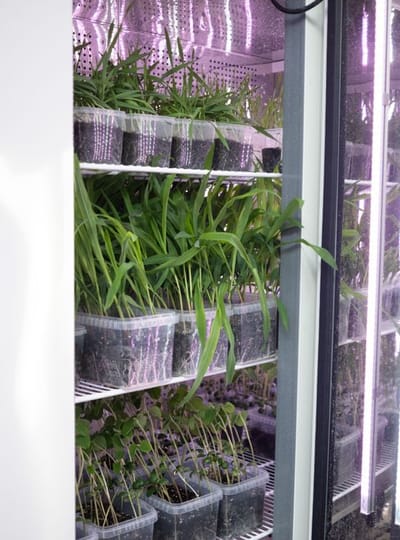 WERK Innovatie Agro Food Tech Brightlands WEB Joy Cremers 0415