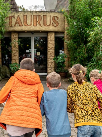 Kindspanel Taurus 21