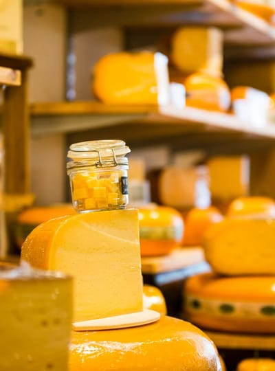 Venlo Partners Kaas Kaasjes 013