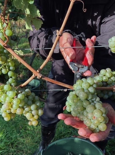 Lorem ipsum dolar sit amet