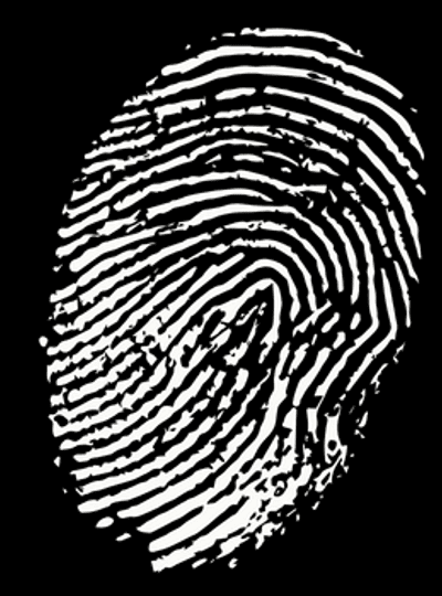 TIV programma Woutekiet