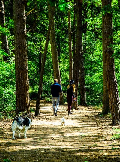 Wandelroute de Landgoederen NATUUR Groote Heide WEB Petra Lenssen 21 jpg