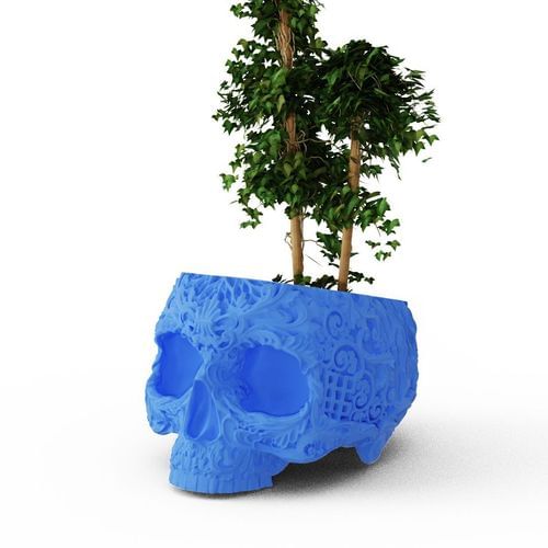 maceta-con-forma-de-calavera-para-plantas-pequenas