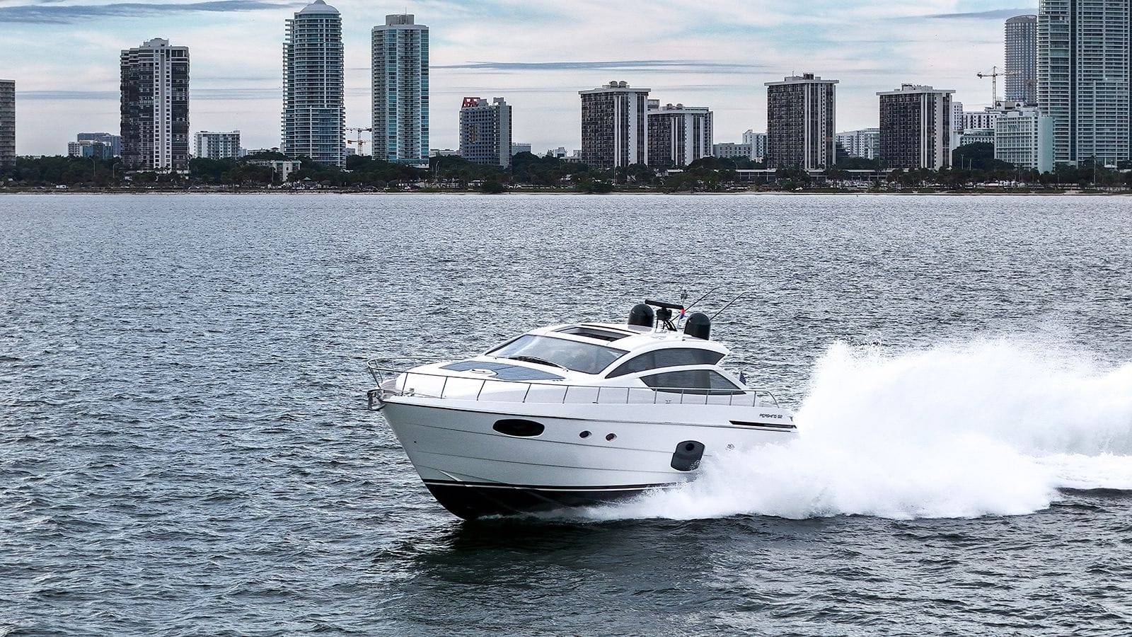 HABEAS ORCAS-7-gallery