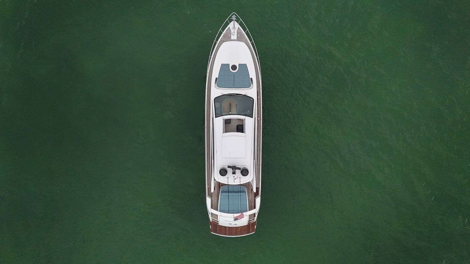 HABEAS ORCAS-9-gallery