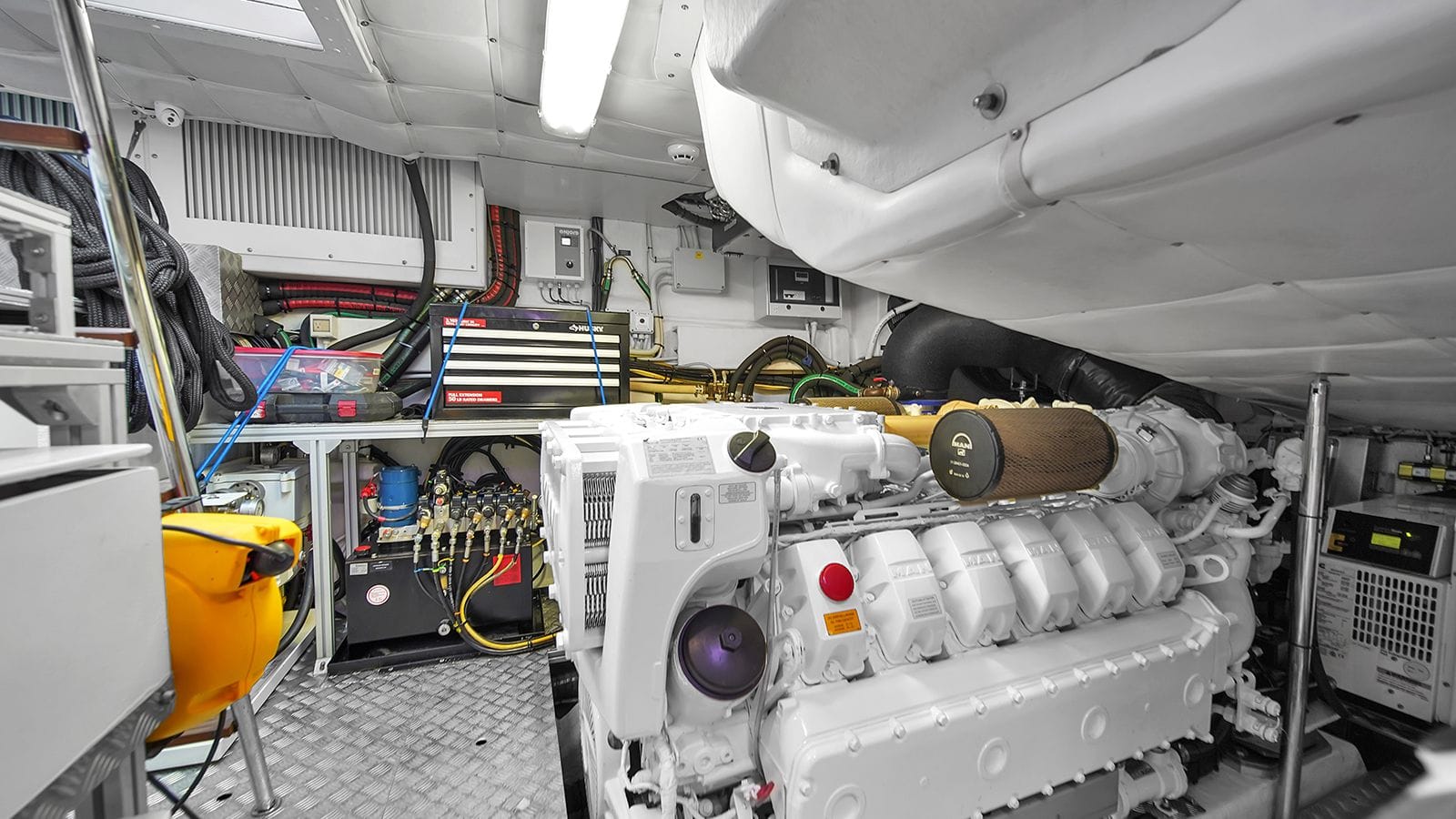 HABEAS ORCAS-37-gallery