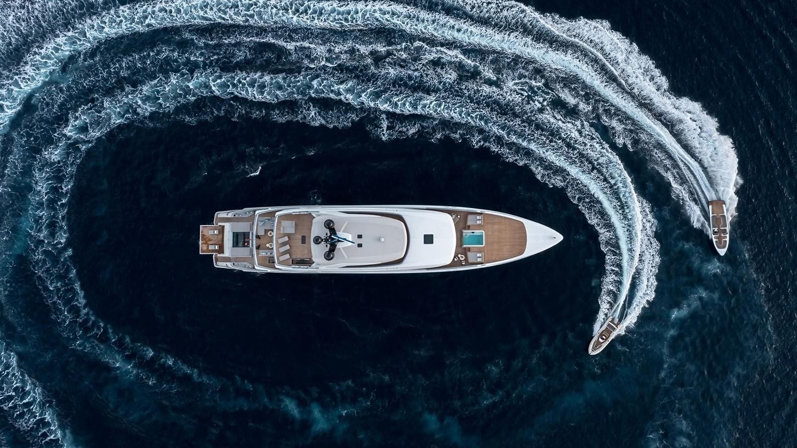 Lemon Tree-9-gallery